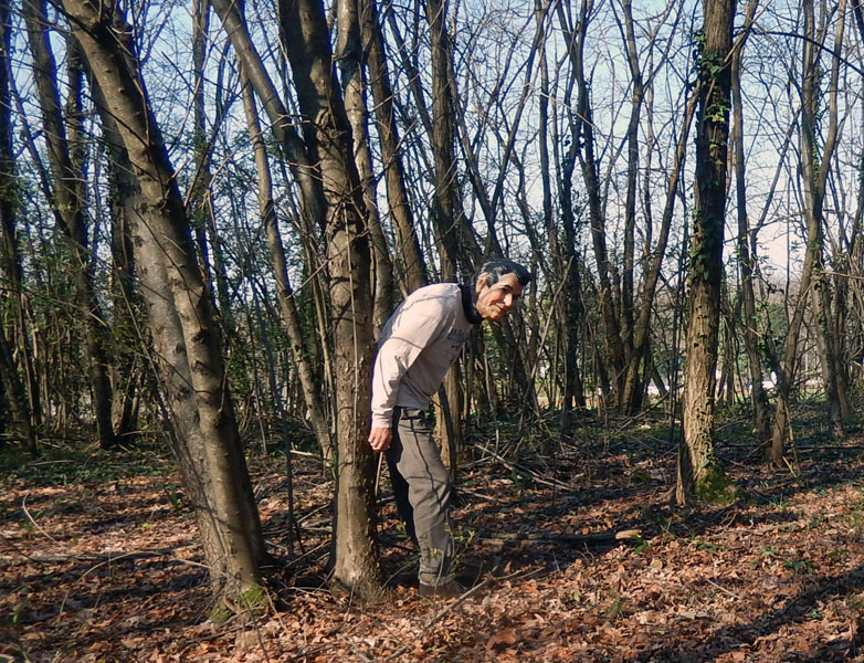 Allungai il collo 2015
